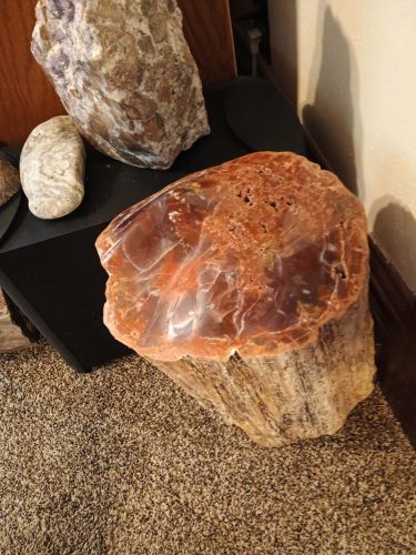 1235189162906662248-copy