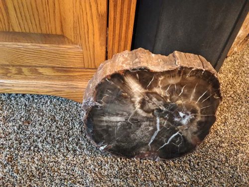 2862039950914402687-copy