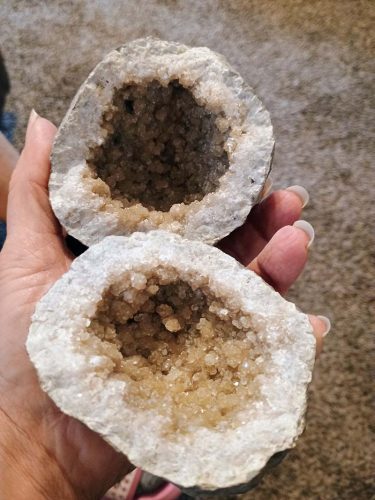 3563829976357975594-copy